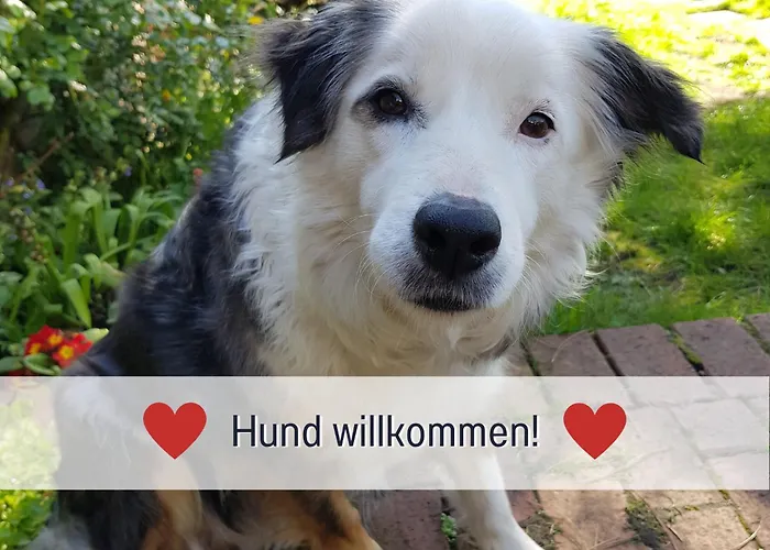 Ferienwohnung Am Maximilianpark Hamm